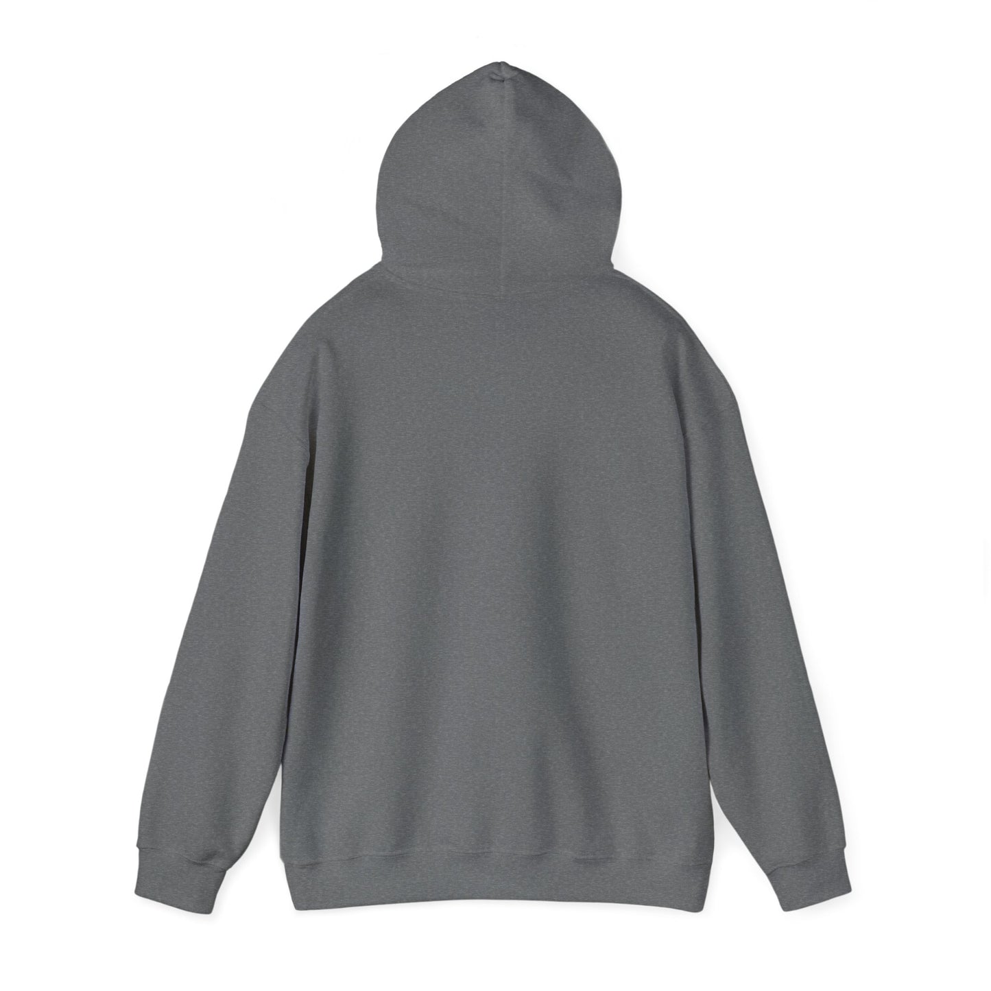 Continue Hooded Sweatshirt