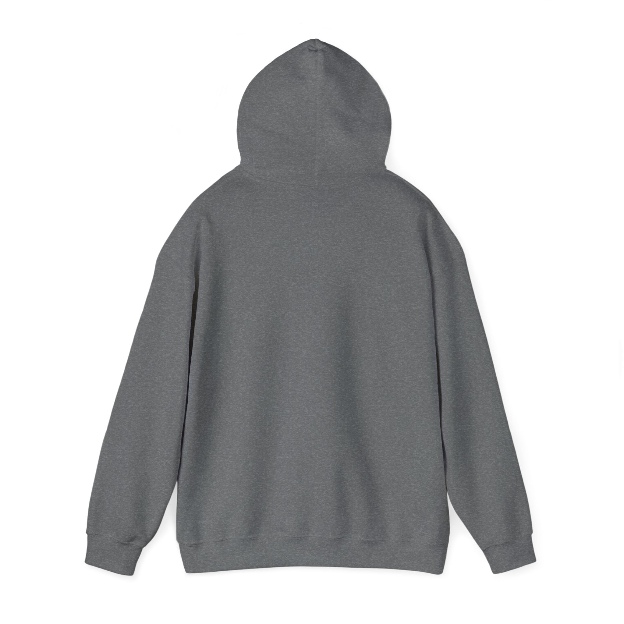 Continue Hooded Sweatshirt