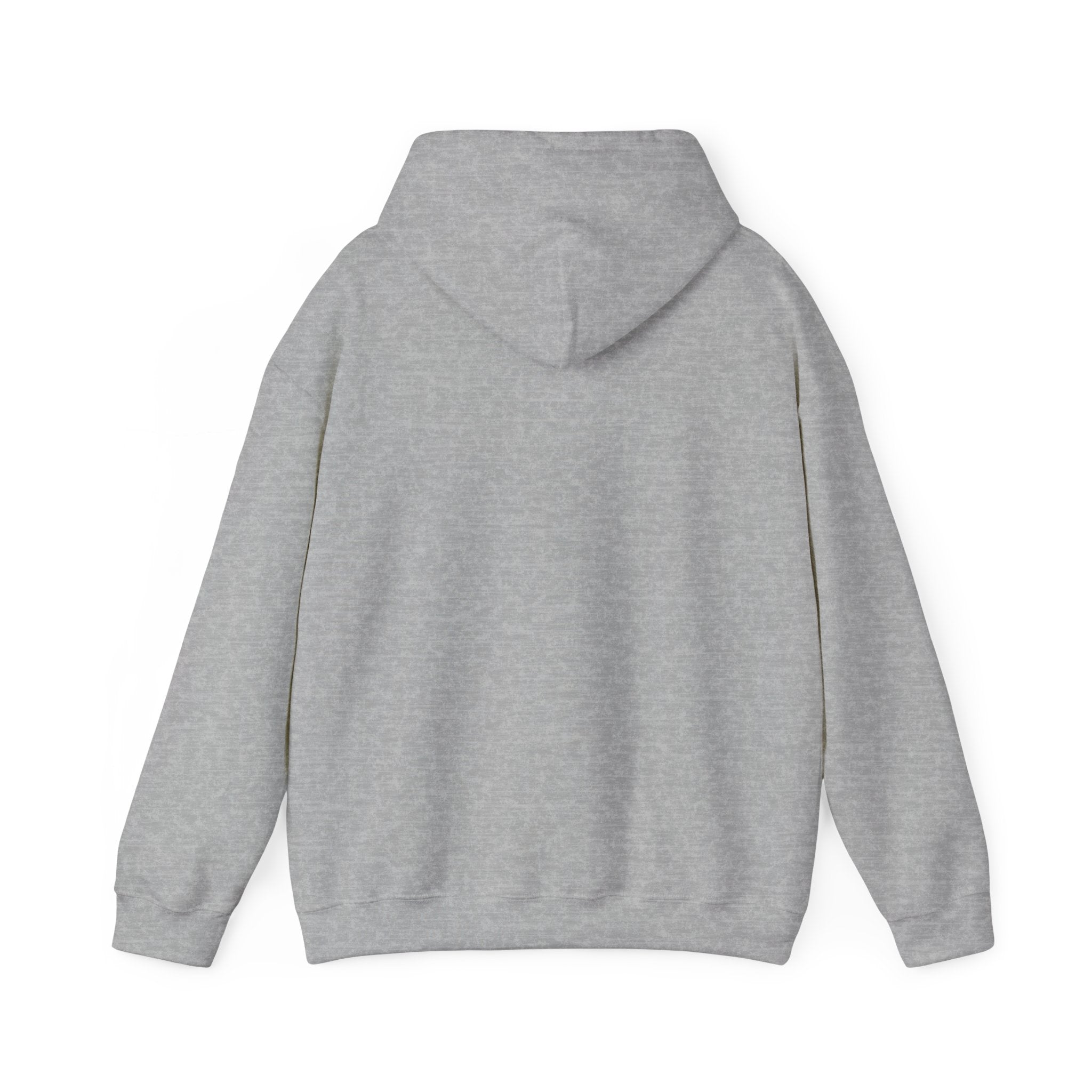 Continue Hooded Sweatshirt