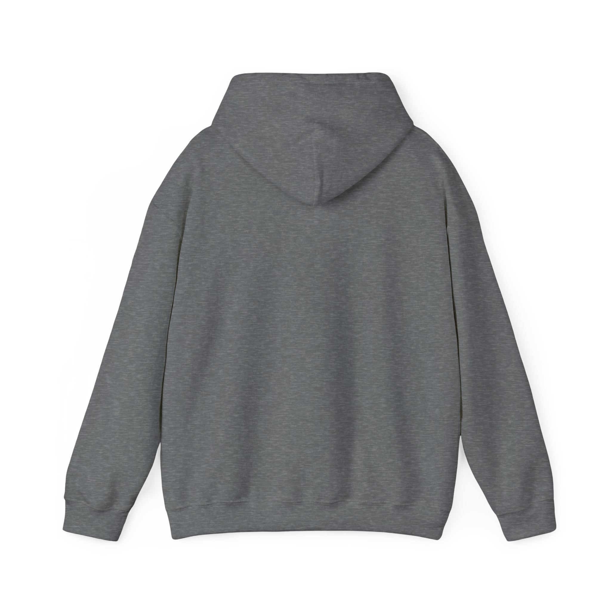 Continue Hooded Sweatshirt