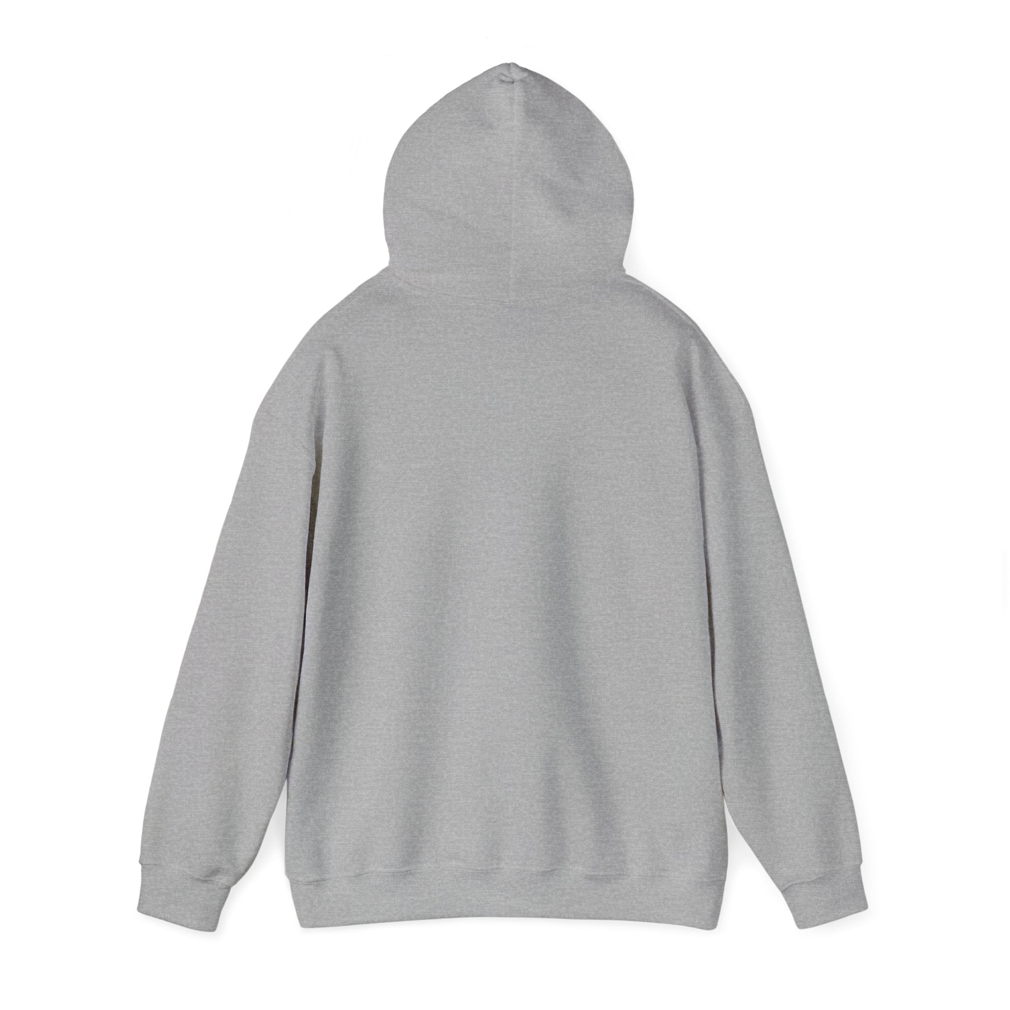 Continue Hooded Sweatshirt